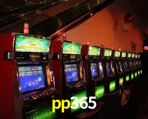 Descubra a Essência do pp365: Nossa História e Compromissos